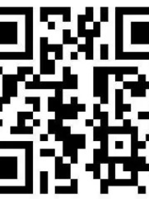 Telefon Kontrollü Askılı Vibratör