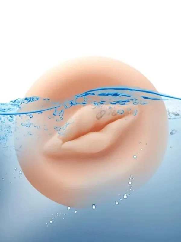 Penis Pompası Vajina Başlık Evrense